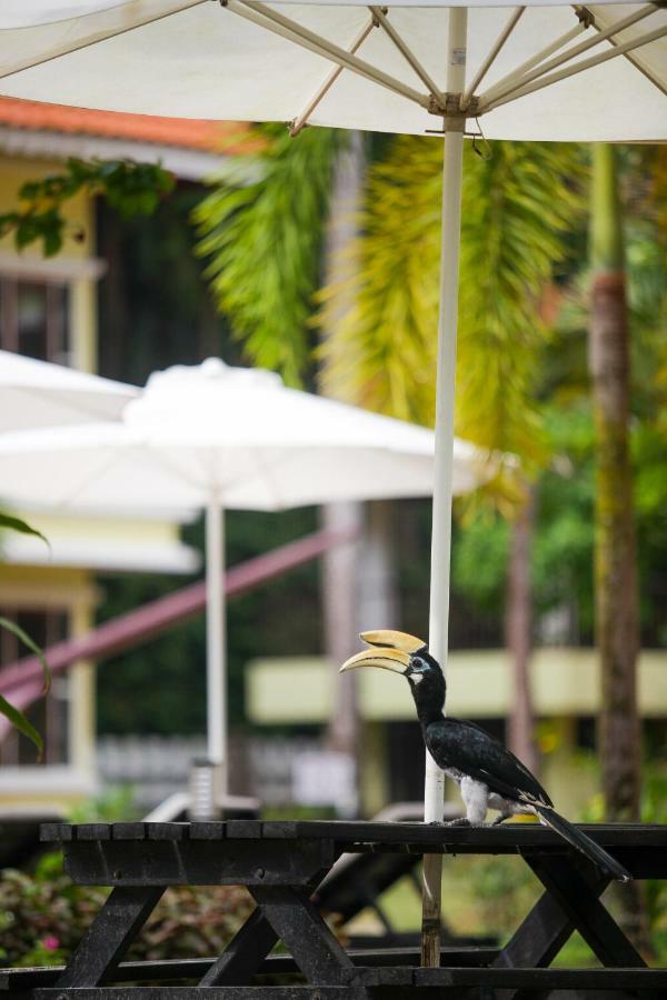 Anjungan Beach Resort Kampung Teluk Nipah Exterior foto